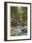 Glen of the Pools, Watkins Glen, New York-null-Framed Art Print