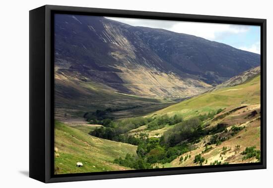 Glen Roy, Highland, Scotland-Peter Thompson-Framed Stretched Canvas