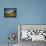 Glen Shee, Tayside, Scotland, UK, Europe-John Miller-Framed Stretched Canvas displayed on a wall