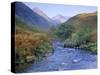 Glen Shiel, North West Highlands, Highlands Region, Scotland, UK, Europe-John Miller-Stretched Canvas