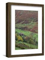 Glenballyemon, County Antrim, Ulster, Northern Ireland, United Kingdom, Europe-Carsten Krieger-Framed Photographic Print