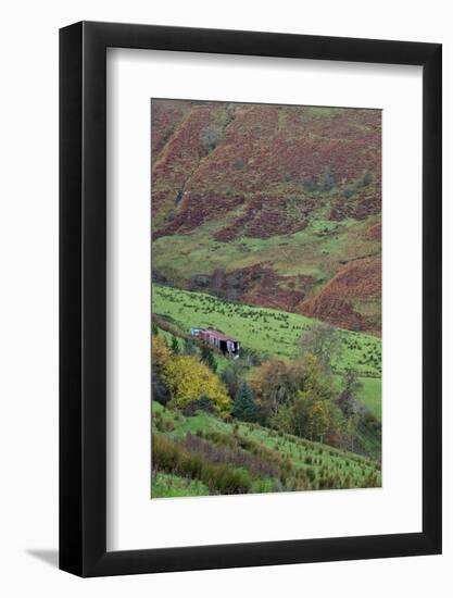 Glenballyemon, County Antrim, Ulster, Northern Ireland, United Kingdom, Europe-Carsten Krieger-Framed Photographic Print