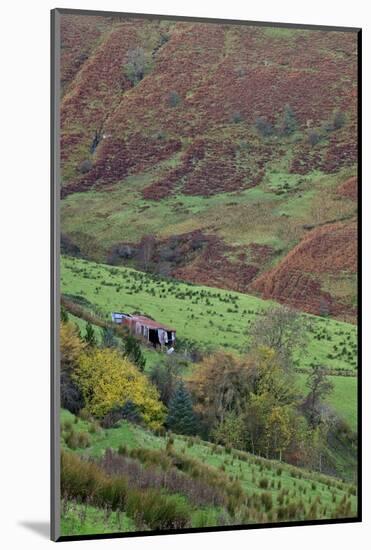 Glenballyemon, County Antrim, Ulster, Northern Ireland, United Kingdom, Europe-Carsten Krieger-Mounted Photographic Print