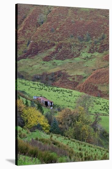 Glenballyemon, County Antrim, Ulster, Northern Ireland, United Kingdom, Europe-Carsten Krieger-Stretched Canvas