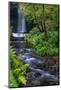 Glencar waterfall in County Leitrim, Ireland-Chuck Haney-Mounted Photographic Print