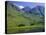 Glencoe (Glen Coe), Highlands Region, Scotland, UK, Europe-Roy Rainford-Stretched Canvas