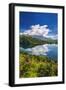 Glendhu Bay on Lake Wanaka, Otago, South Island, New Zealand-Russ Bishop-Framed Photographic Print