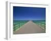 Glenelg Pier, Glenelg, Adelaide, South Australia, Australia, Pacific-Neale Clarke-Framed Photographic Print