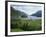 Glenfinnan Monument Beside Loch Shiel, Highlands, Scotland, United Kingdom, Europe-null-Framed Photographic Print