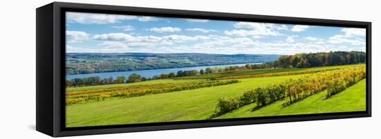 Glenora Vineyard, Seneca Lake, Finger Lakes, New York State, Usa-null-Framed Stretched Canvas