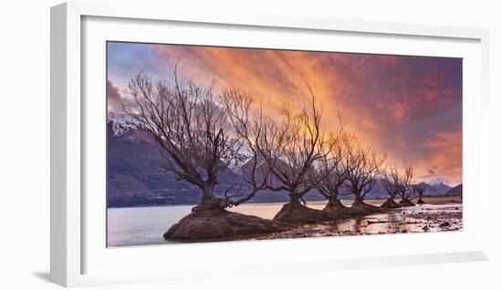 Glenorchy on Fire-Yan Zhang-Framed Photographic Print