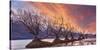 Glenorchy on Fire-Yan Zhang-Stretched Canvas