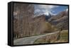 Glenorchy to Paradise Road, Queenstown, South Island, New Zealand, Pacific-Nick-Framed Stretched Canvas