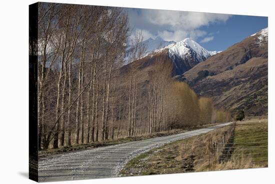 Glenorchy to Paradise Road, Queenstown, South Island, New Zealand, Pacific-Nick-Stretched Canvas