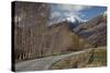 Glenorchy to Paradise Road, Queenstown, South Island, New Zealand, Pacific-Nick-Stretched Canvas
