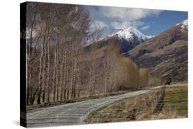 Glenorchy to Paradise Road, Queenstown, South Island, New Zealand, Pacific-Nick-Stretched Canvas