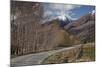 Glenorchy to Paradise Road, Queenstown, South Island, New Zealand, Pacific-Nick-Mounted Photographic Print