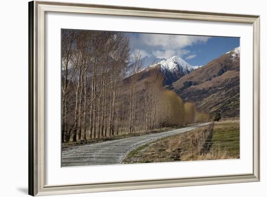 Glenorchy to Paradise Road, Queenstown, South Island, New Zealand, Pacific-Nick-Framed Photographic Print