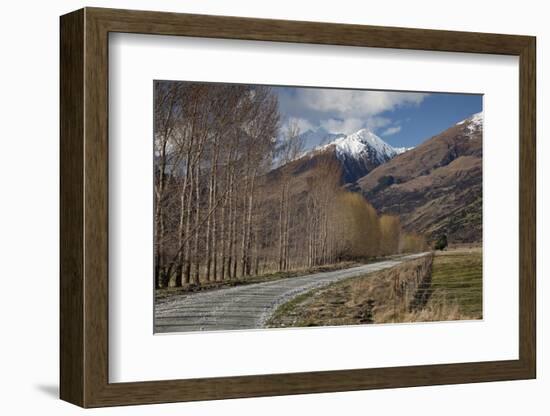 Glenorchy to Paradise Road, Queenstown, South Island, New Zealand, Pacific-Nick-Framed Photographic Print