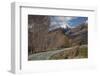 Glenorchy to Paradise Road, Queenstown, South Island, New Zealand, Pacific-Nick-Framed Photographic Print