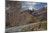 Glenorchy to Paradise Road, Queenstown, South Island, New Zealand, Pacific-Nick-Mounted Photographic Print