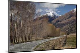 Glenorchy to Paradise Road, Queenstown, South Island, New Zealand, Pacific-Nick-Mounted Photographic Print