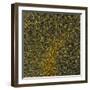 Glial Cells, Confocal Light Micrograph-Thomas Deerinck-Framed Premium Photographic Print