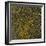 Glial Cells, Confocal Light Micrograph-Thomas Deerinck-Framed Premium Photographic Print