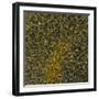 Glial Cells, Confocal Light Micrograph-Thomas Deerinck-Framed Premium Photographic Print