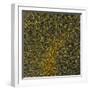 Glial Cells, Confocal Light Micrograph-Thomas Deerinck-Framed Premium Photographic Print