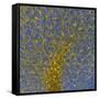 Glial Cells, Confocal Light Micrograph-Thomas Deerinck-Framed Stretched Canvas