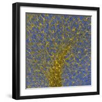 Glial Cells, Confocal Light Micrograph-Thomas Deerinck-Framed Premium Photographic Print