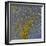 Glial Cells, Confocal Light Micrograph-Thomas Deerinck-Framed Premium Photographic Print