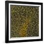 Glial Cells, Confocal Light Micrograph-Thomas Deerinck-Framed Photographic Print