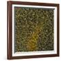 Glial Cells, Confocal Light Micrograph-Thomas Deerinck-Framed Photographic Print