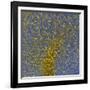 Glial Cells, Confocal Light Micrograph-Thomas Deerinck-Framed Photographic Print