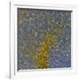 Glial Cells, Confocal Light Micrograph-Thomas Deerinck-Framed Photographic Print