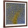 Glial Cells, Confocal Light Micrograph-Thomas Deerinck-Framed Photographic Print