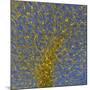 Glial Cells, Confocal Light Micrograph-Thomas Deerinck-Mounted Photographic Print
