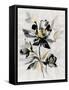 Glided Floral I-null-Framed Stretched Canvas