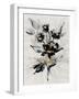 Glided Floral II-null-Framed Art Print