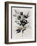 Glided Floral II-null-Framed Art Print