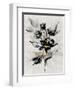 Glided Floral II-null-Framed Art Print