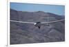 Glider, Warbirds over Wanaka, Wanaka, War Plane, Otago, South Island, New Zealand-David Wall-Framed Photographic Print