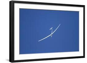 Glider, Warbirds over Wanaka, Wanaka, War Plane, Otago, South Island, New Zealand-David Wall-Framed Photographic Print