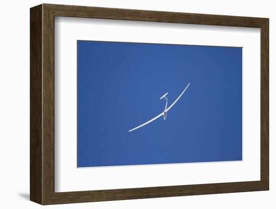 Glider, Warbirds over Wanaka, Wanaka, War Plane, Otago, South Island, New Zealand-David Wall-Framed Photographic Print