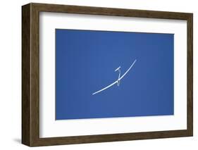 Glider, Warbirds over Wanaka, Wanaka, War Plane, Otago, South Island, New Zealand-David Wall-Framed Photographic Print