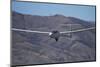 Glider, Warbirds over Wanaka, Wanaka, War Plane, Otago, South Island, New Zealand-David Wall-Mounted Photographic Print