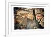 Gliding over Seville VIII-Felipe Rodriguez-Framed Photographic Print