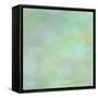 Glimmer-Tina Lavoie-Framed Stretched Canvas